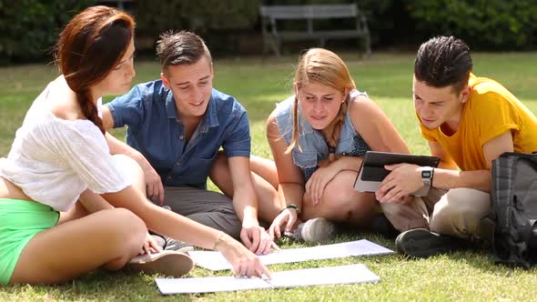 Teenagers studying together at park