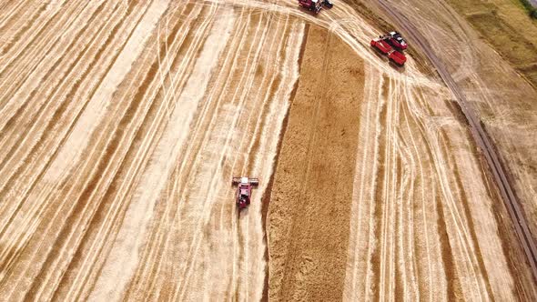 Drone flying above grain harvesters and tractors. Field of ripe wheat in harvest season, Aerial view