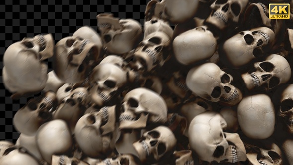 Skulls Reveal