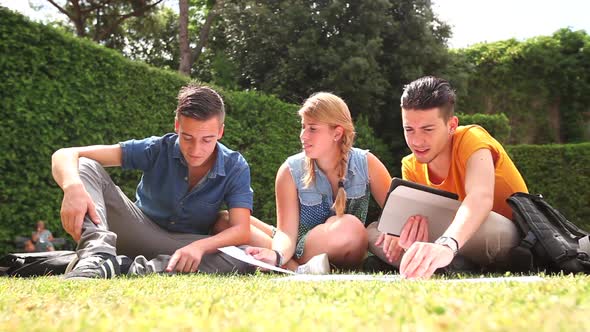 Teenagers studying together at park