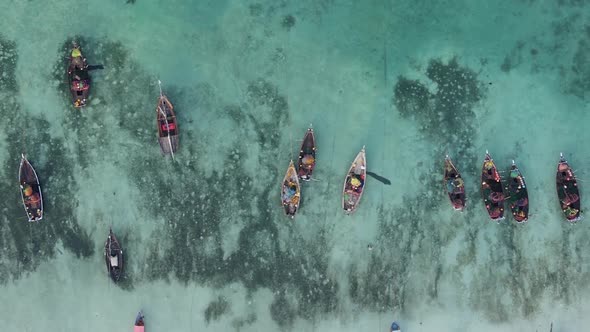 Vertical Video Boats in the Ocean Near the Coast of Zanzibar Tanzania Aerial View