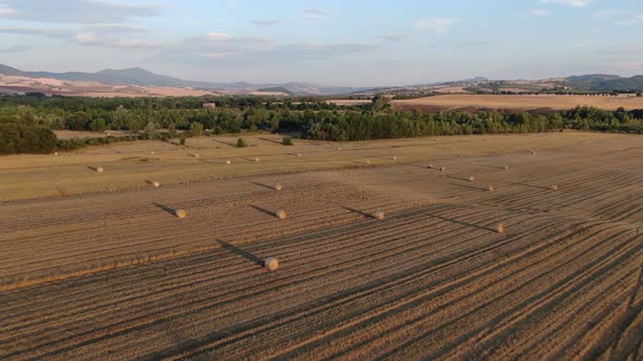 Flying over rolled hay bales on a field in Tuscany, Italy, Europe