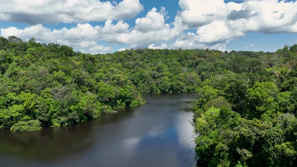 Stunning landscape of Amazon Forest at Amazonas State Brazil.