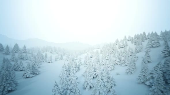 Animation of the white snowy landscape below the cloudless sky. Loopable. HD