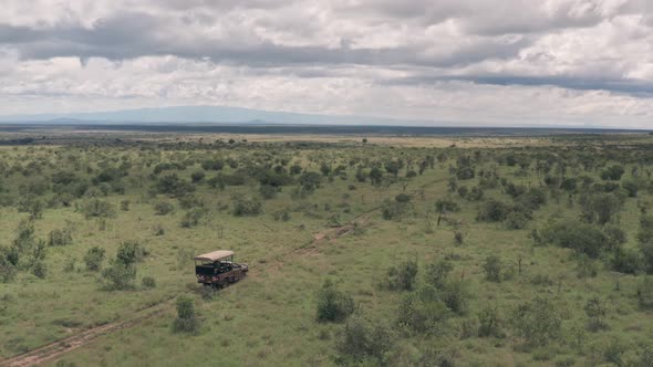 Safari game drive in Laikipia, Kenya. Aerial drone view of 4 wheel drive driving through African sav