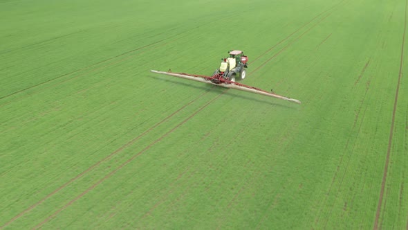 Aerial View of Farming Tractor Plowing and Spraying Green Wheat Field