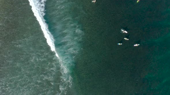 Surfers with Big Waves