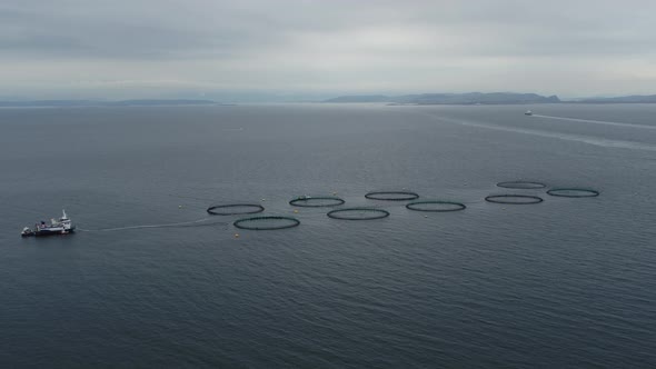 Fishing Trawler And Ferries At Sea In Norway, Drone