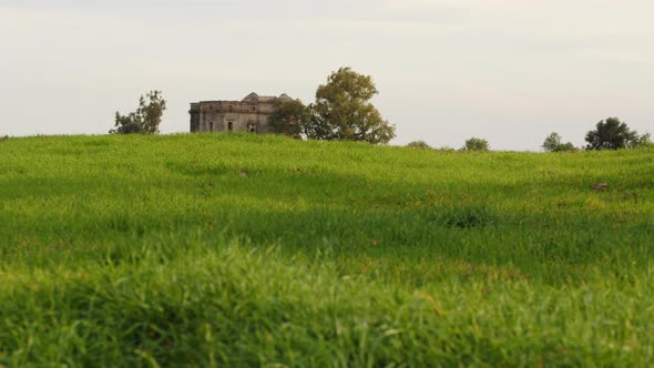 Castle Over an Endless Green Meadow in Calabria