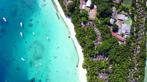 Aerial drone panorama of tropical sea view beach wildlife by ocean with sand background