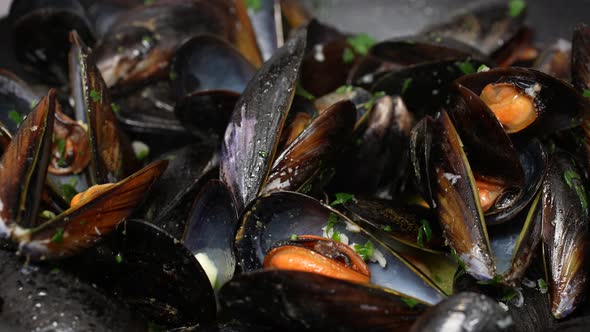 Mussels 11