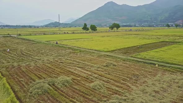 Flycam Rotates Above Empty Rice Field Against Hilly Landscape