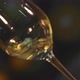 Glass of Wine Close Up Rolling - VideoHive Item for Sale