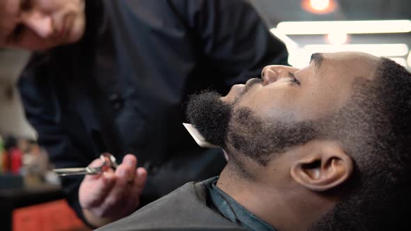 The Hairdresser Cuts with Scissors and Combs the Client's Beard with a Comb