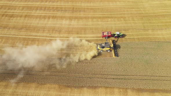 Harvester Harvests Wheat Crop On Field
