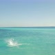 Tropical Dive - VideoHive Item for Sale