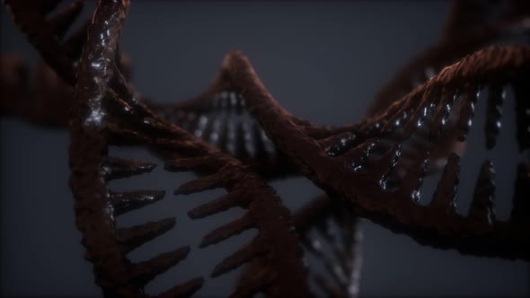 Loop Double Helical Structure of Dna Strand Closeup Animation