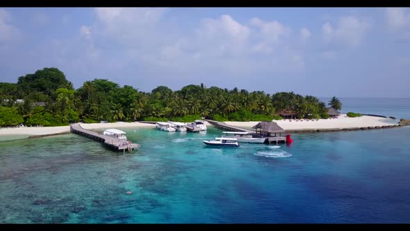 Aerial top down scenery of paradise seashore beach wildlife by blue lagoon with bright sandy backgro