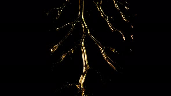 Gold Liquid Flow Into Leaf Shape.Golden Honey Oil Isolated on Black Background. Natural Cosmetology