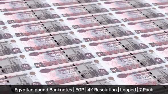 Egypt Banknotes Money / Egyptian pound / Currency £, E£, L.E. / EGP / 7 Pack - 4K