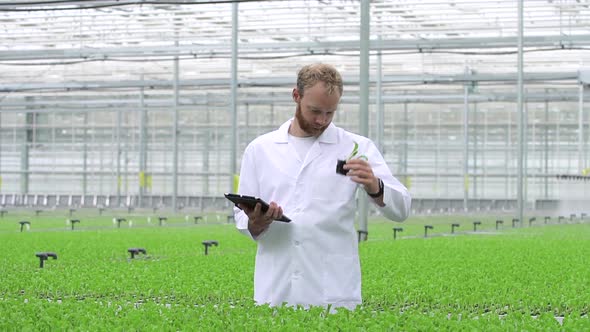 Greenhouse Agronomist Works in Greenhouse and After Checking Plants Enters Data Into Spbd Tablet