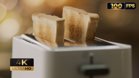 Toaster with bread white and steel 100 fps