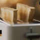 Toaster with bread white and steel 100 fps - VideoHive Item for Sale