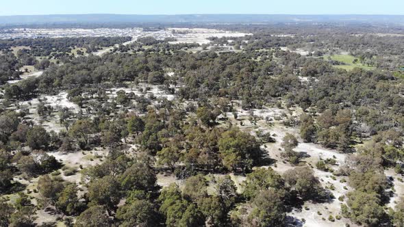 Aerial View of a Forest in Australia