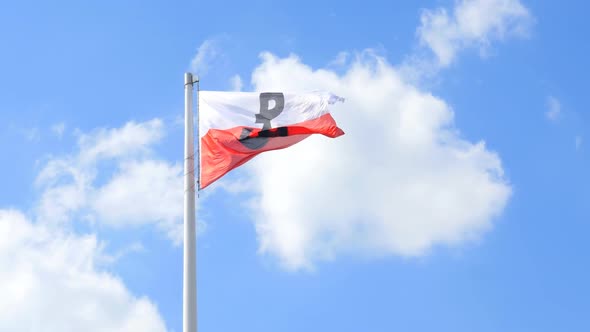 Polish Flag with the Symbol of Poland Fighting 