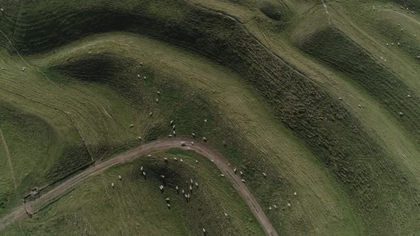 Aerial top down over the western gate ramparts of the iron age hill fort, Maiden Castle. Amazing abs