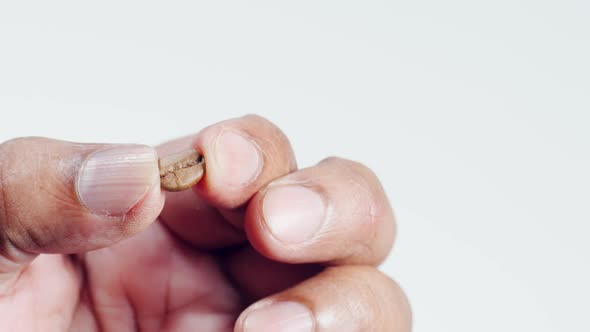 Fingers Hold A Roasted Coffee Bean Off Center