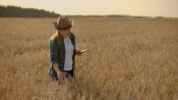 Young Woman Farmer Working with Tablet in Field at Sunset
