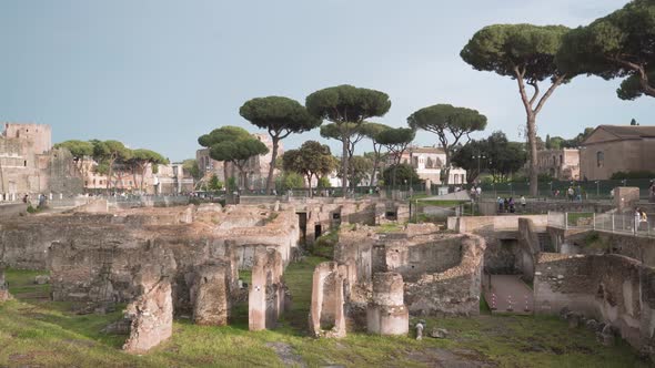 Ancient Ruins of Antique Rome Against Exotic Green Trees