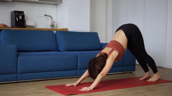 Woman Practice Yoga at Home Basic Asanas