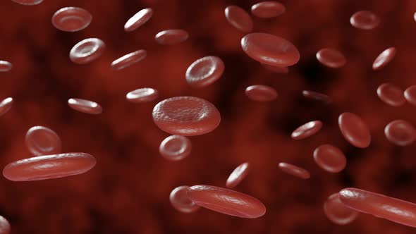 4K Red Blood Cells Moving in the Blood Stream, in an Artery