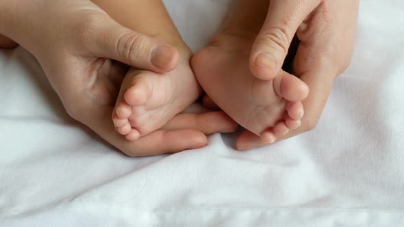 Newborn Feet In Mother Hands alt