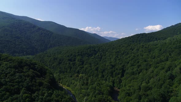 The Mountains is Completely Covered with Centuries-Old Trees Aerial View