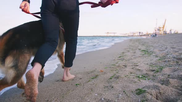 Happy Young Woman Running and Playing with Her German Shepherd Dog Outdoor on the Beach Close Up