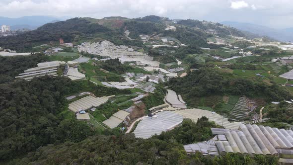 Cameron Highlands, Pahang Malaysia