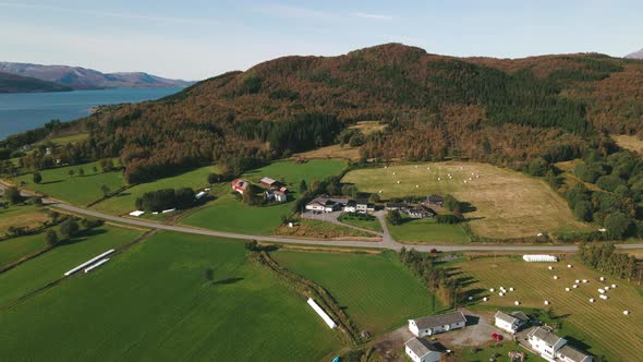 Beautiful green Scandinavian farmlands, aerial view of remote countryside