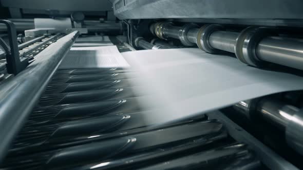 Machine Prints Paper at a Factory, Close Up
