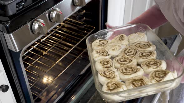 Placing a pan of raw cinnamon rolls into a warming oven to raise and then bake