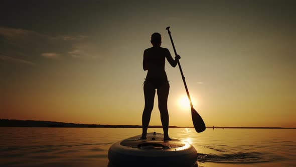 Siluet of Woman Standing Firmly on Inflatable SUP Board and Paddling Through Shining Water Surface