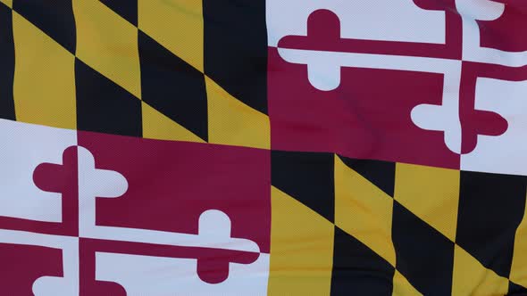 Flag of Maryland State Region of the United States Waving at Wind