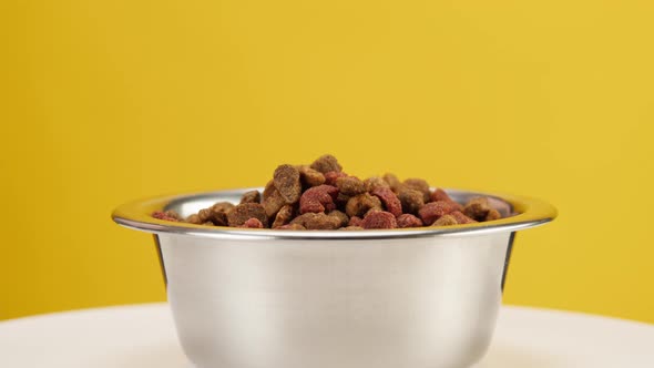 Dried Dog Food in Metal Bowl Closeup Rotating