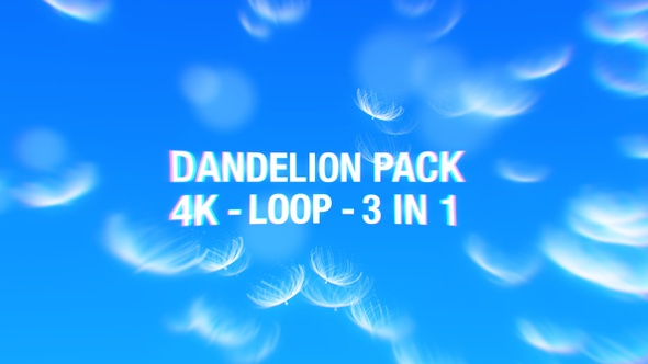 Dandelion Loop 4K Pack