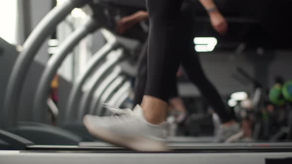 Closeup of woman legs in gym getting up on treadmill and gradually gaining speed , side view.