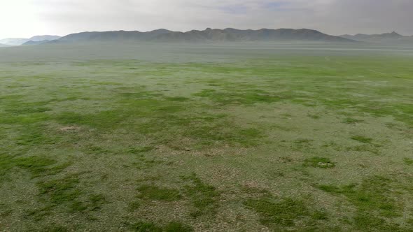 Vast Empty Meadow of Central Asian Lowland