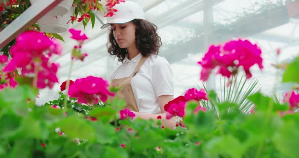 Young Pretty Woman Caring for Beautiful Pink Flowers