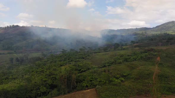 Manmade Forest Fire on Farmland